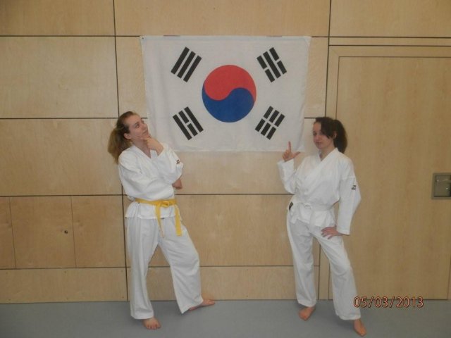 Taekwondo Training